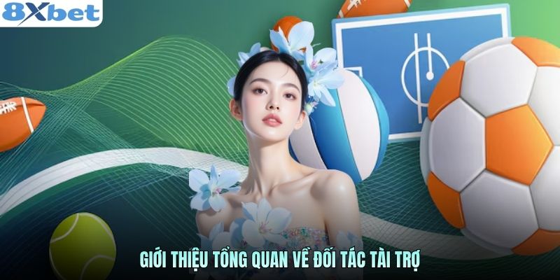 Giới thiệu tổng quan về đối tác tài trợ
