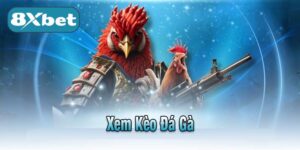 Xem Kèo Đá Gà